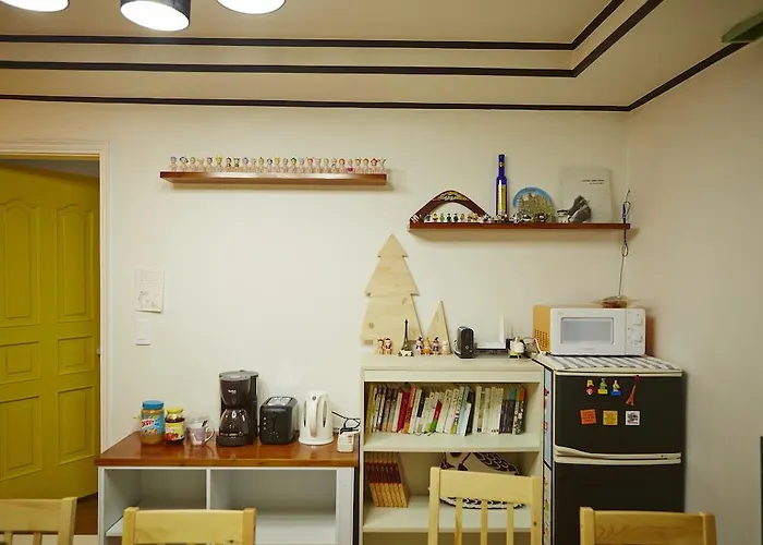 Owl Seoul